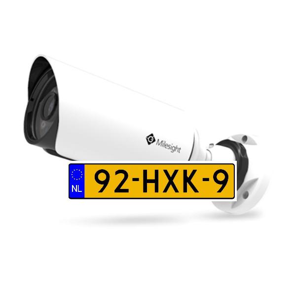 2MP Mini Bullet Network Camera (LP model)