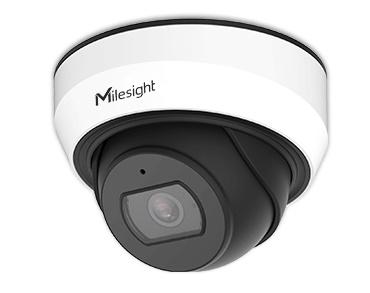 2MP Weather-proof Mini Dome Network Camera  (3.6mm)